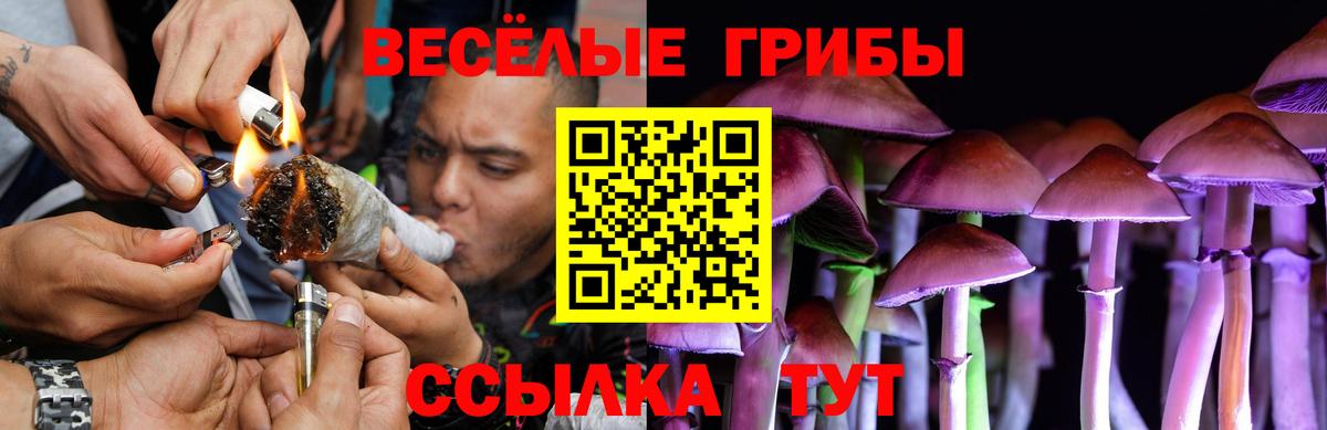 Псилоцибиновые грибы MAGIC MUSHROOMS  Галлюциногенные грибы мицелий  Кореновск  Вход с VPN 